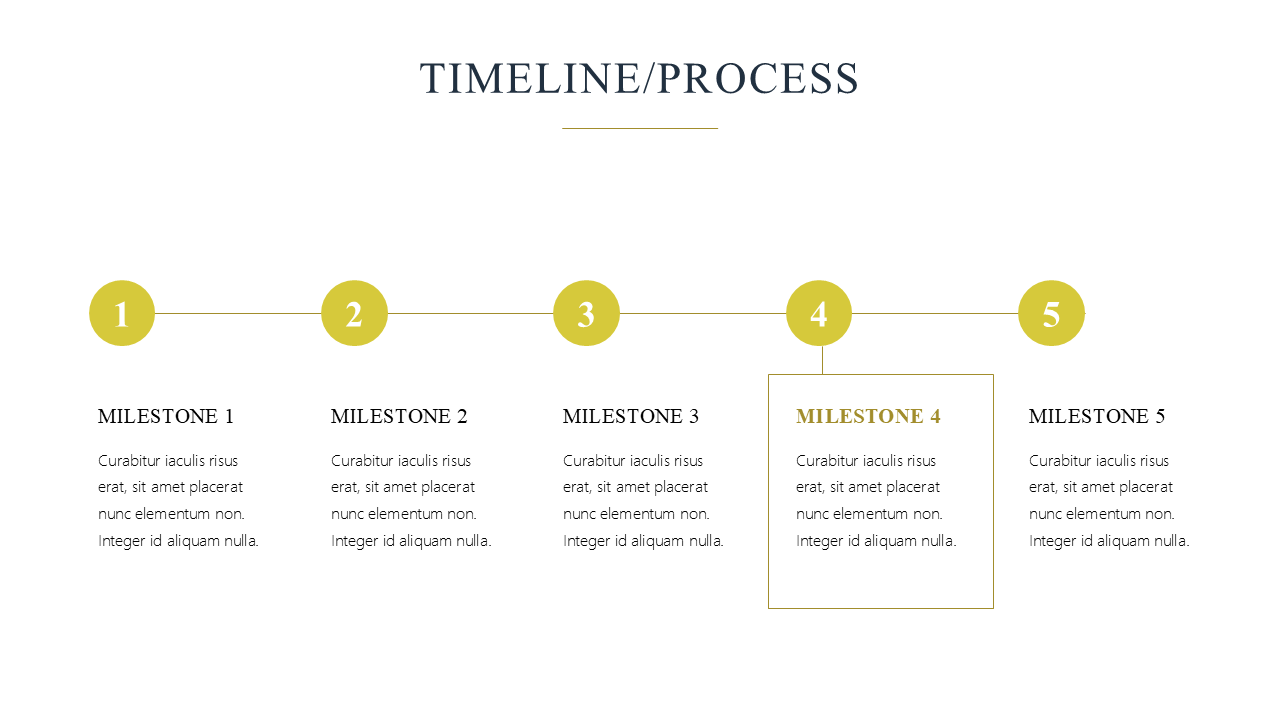 Premium Powerpoint Template