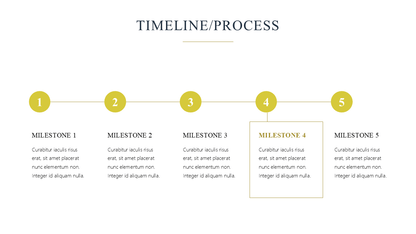 Premium Powerpoint Template