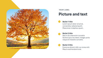 Fall Colors Pitch Deck Template