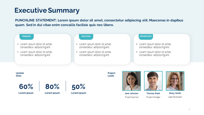 Project Status Report