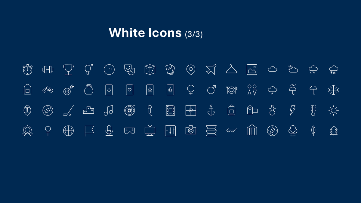 Professional Icons Pack