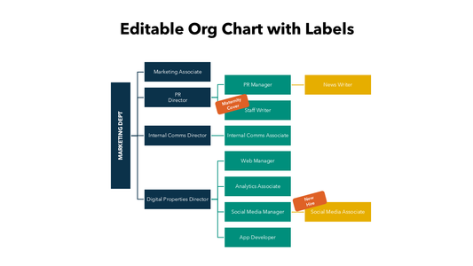Org Chart With Labels