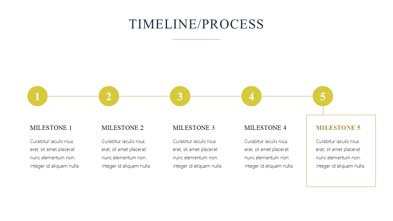 Premium Powerpoint Template