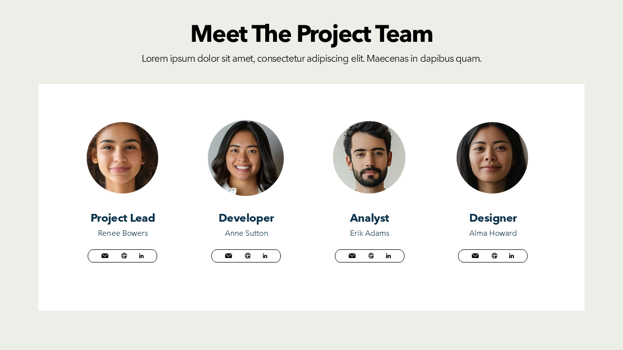 Project Team Slide