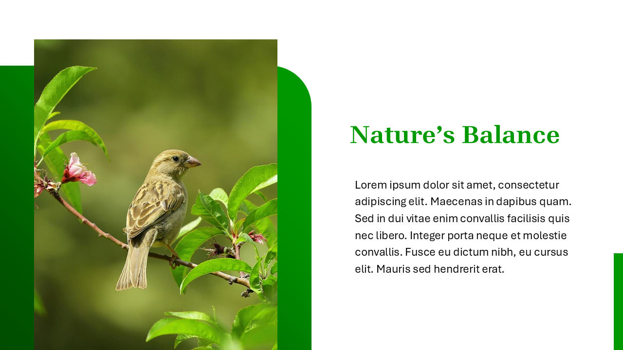Nature PowerPoint Template
