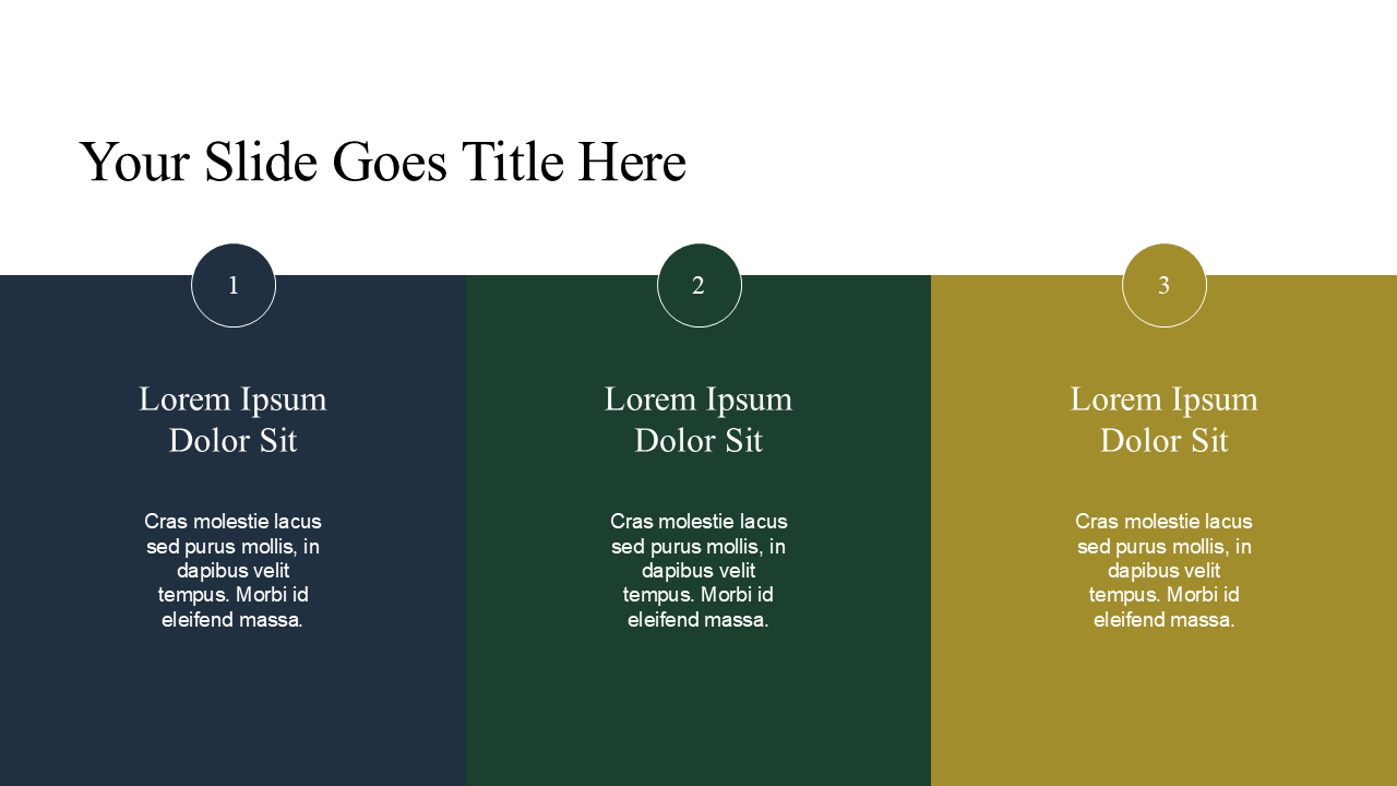 Professional PowerPoint Template