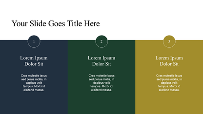 Professional PowerPoint Template