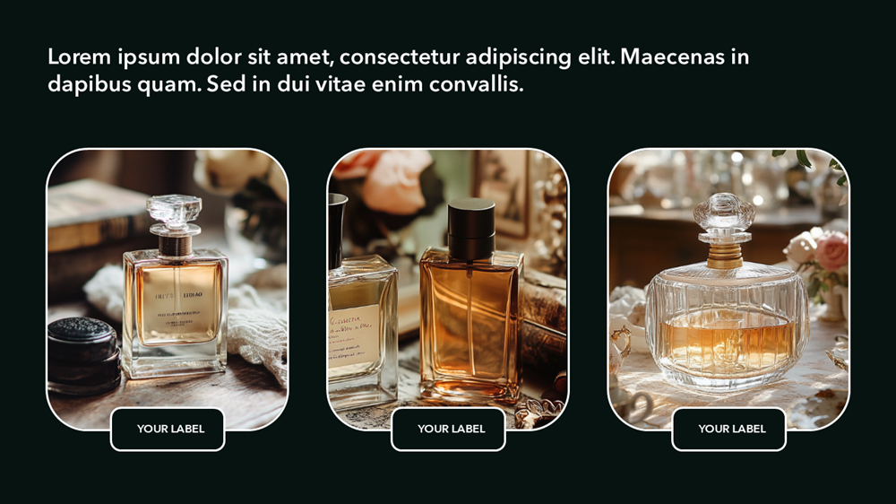 Product Presentation Template