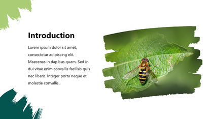 Paintbrush PowerPoint Template