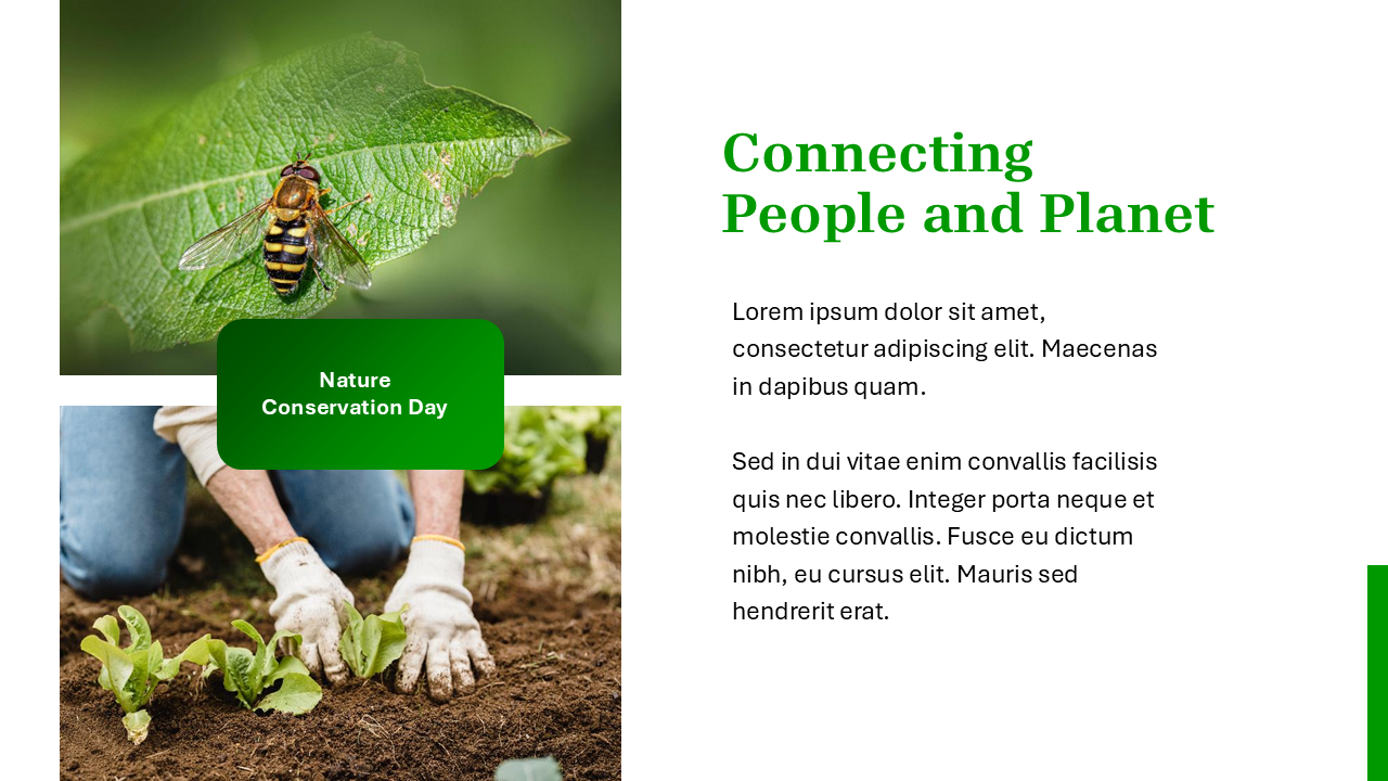 Nature PowerPoint Template