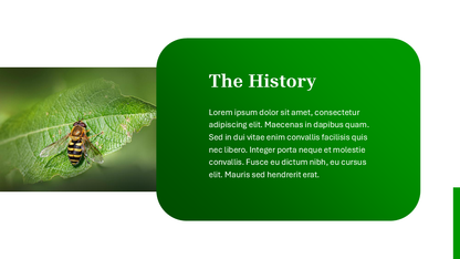 Nature PowerPoint Template