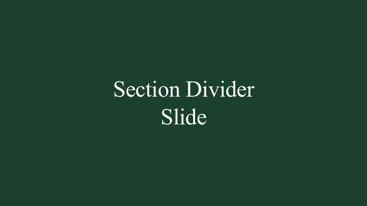 Professional PowerPoint Template