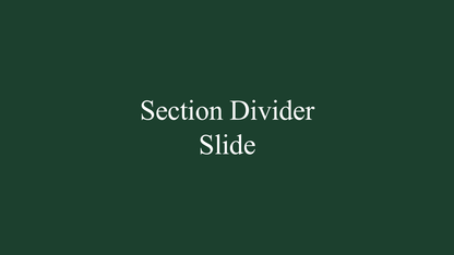 Professional PowerPoint Template