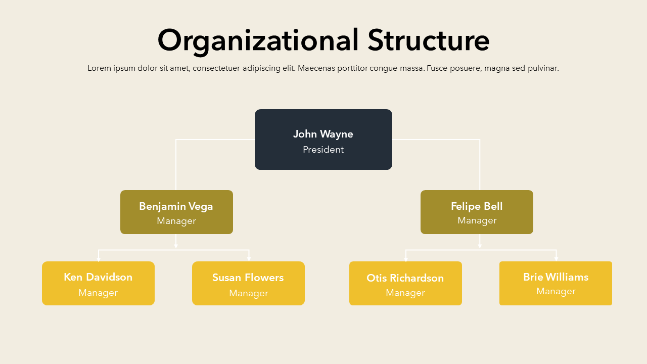 Company Overview Template PPT